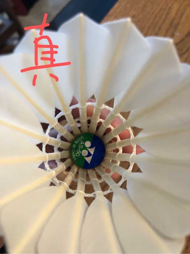 球拍鑒定風(fēng)波 AS50